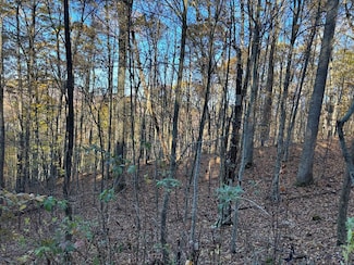Lot#39 Falcon Stone Ridge, Topton, NC 28904