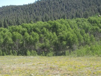 47 Opal Dr Unit 10, Hartsel, CO 80449
