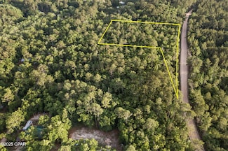 XXX Skipper Rd, Vernon, FL 32462