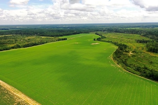 290 Kilgore Ln, Wray, GA 31798