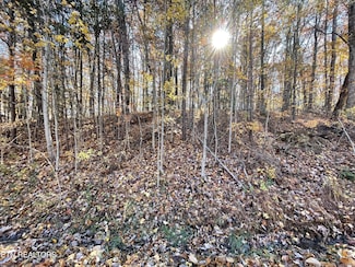 350 Rotherham Dr, Crossville, TN 38558