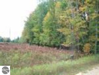 On Bass Lake Rd, South Boardman, MI 49680