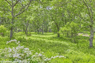 32 Stonewall Road and 4 Cedar Ln Unit 2.1 and 2.2, Chilmark, MA 02535