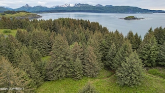 6266 Cliff Point Rd, Kodiak, AK 99615