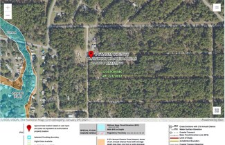 101 Hazel Ave, Georgetown Cove, FL 32139
