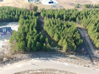 902 Old Glory Ln, Brandon, MS 39047