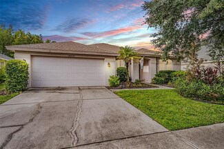 18230 Collridge Dr, Tampa, FL 33647