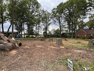 0 Strasburg Rd, Monroe, MI 48161