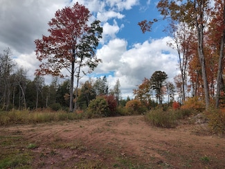 120 Acres Off County Rd 327, Rumely, MI 49826