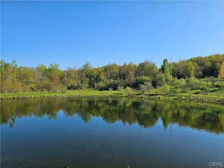 00 Twin Ponds Dr, Herkimer, NY 13350