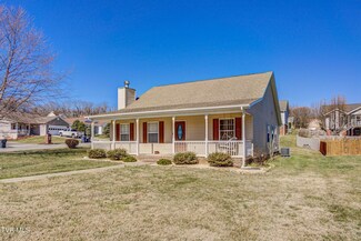 230 Jaybird Ct, Bristol, TN 37620