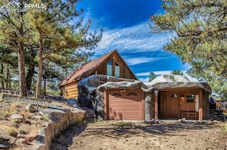 551 Forest Glen Trail, Florissant, CO 80816