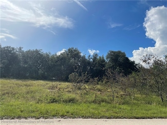 3191 N Pocatello Rd, Avon Park, FL 33825