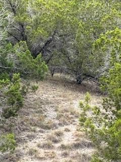 8702 Tepee Cove, Lago Vista, TX 78645