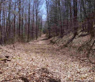 TBD Crump Hill Rd, Shandaken, NY 12480