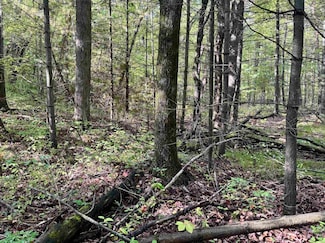 733 E Cranberry Lake Rd, Harrison, MI 48625