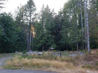 50 N Goldeneye Place, Hoodsport, WA 98548