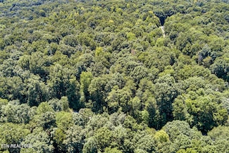 Lot 168 County Road 316, Niota, TN 37826
