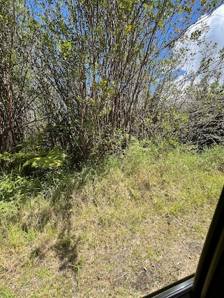 0 Holana St, Mountain View, HI 96771