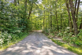 254 Upper Falls Road Extension, Perkinsville, VT 05151