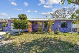 1301 Melonwood Ave, Clearwater, FL 33759