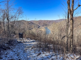 TBD Lantz Ridge Rd, Rowlesburg, WV 26425