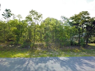 7020 N Maltese Dr, Citrus Springs, FL 34433