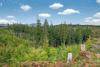 4 Parpala Rd, Naselle, WA 98638