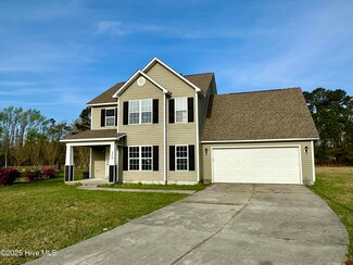 204 Kayla Dawn Ct, Maple Hill, NC 28454
