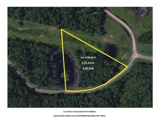 L4B4 Settler Trail, Merrifield, MN 56465