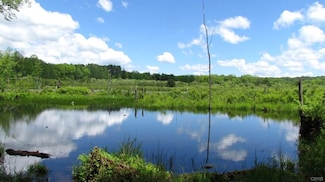 0 Tarbell Rd Unit S1055312, Taylor, NY 13040