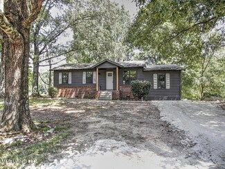 296 Thunderbird Dr N, Hernando, MS 38632