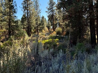 0 Legget Dr Unit 5 220190952, Chiloquin, OR 97624