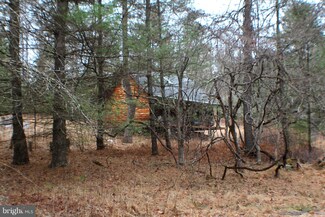 425.19 Off Corner Rd, Fort Seybert, WV 26802