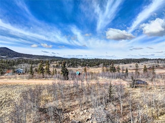 133 Highfill Rd, Jefferson, CO 80456
