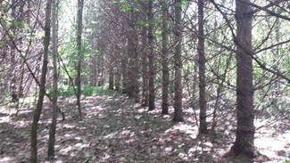 0 Stanton Rd Unit 1765760, Paris, WI 53818