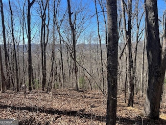 0 Wikle Rd Unit LOTS 7, 8, ADD., Hayesville, NC 28904