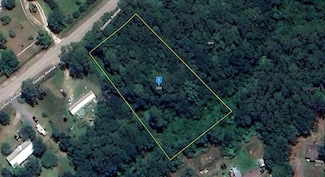 2223 Cosmos Ave, Middleburg, FL 32068