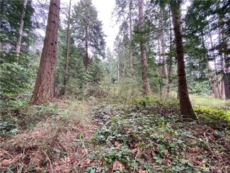 0 Claire Ln Unit 1743022, Point Roberts, WA 98281
