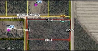 00 NE River Trace Trail, Lee, FL 32059