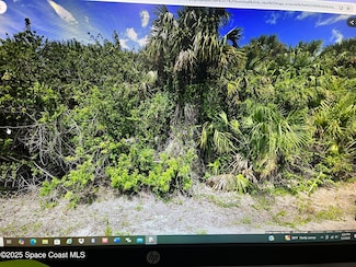 573 Fintonrod St, Palm Bay, FL 32908