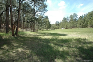856 Woodridge Rd, Franktown, CO 80116