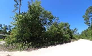 Lot 16 Seminole Ln, Marianna, FL 32448