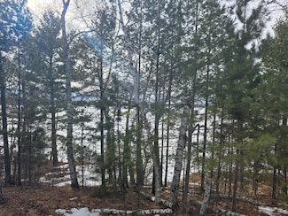 TBD Andrusia Rd SE Unit Lot 7, Block 1, Cass Lake, MN 56633