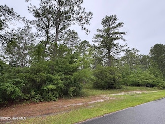 4215 Happy Valley Ln, Shallotte, NC 28470