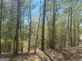 LT1944 Palmetto Dr Unit 1944, Ellijay, GA 30540