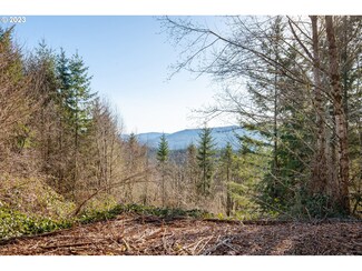 364 Badger Rd, Kelso, WA 98626