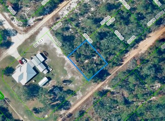 2339 N Thomsen Rd, Avon Park, FL 33825