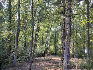 43 Baxter Woods Ln Unit 9, Candler, NC 28715