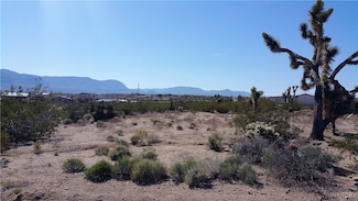 350 Stanton Dr, Meadview, AZ 86444